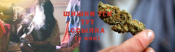 молекула духа Аркадак